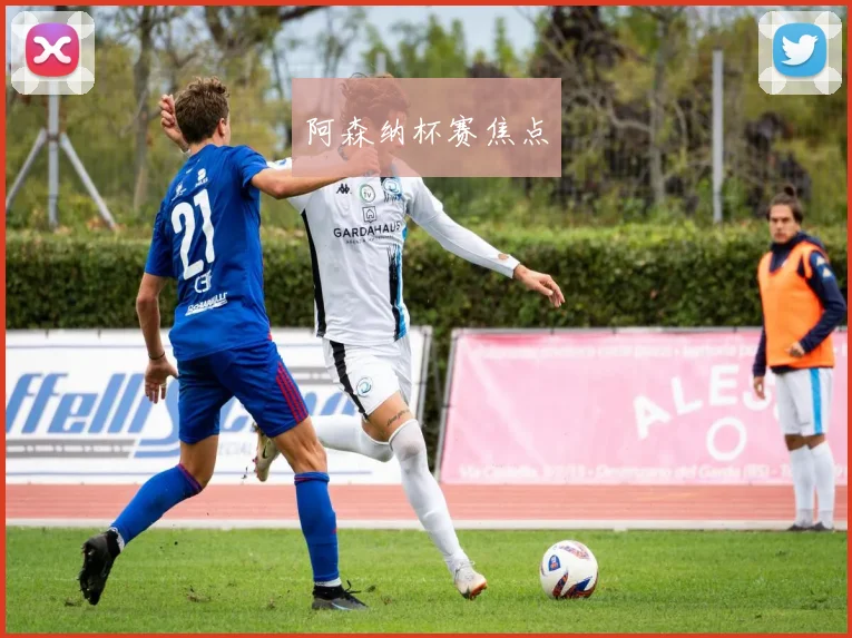 阿森纳杯赛焦点