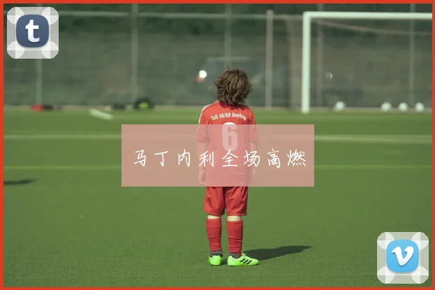 马丁内利全场高燃