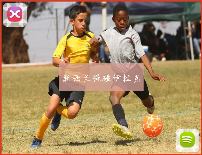 新西兰强碰伊拉克