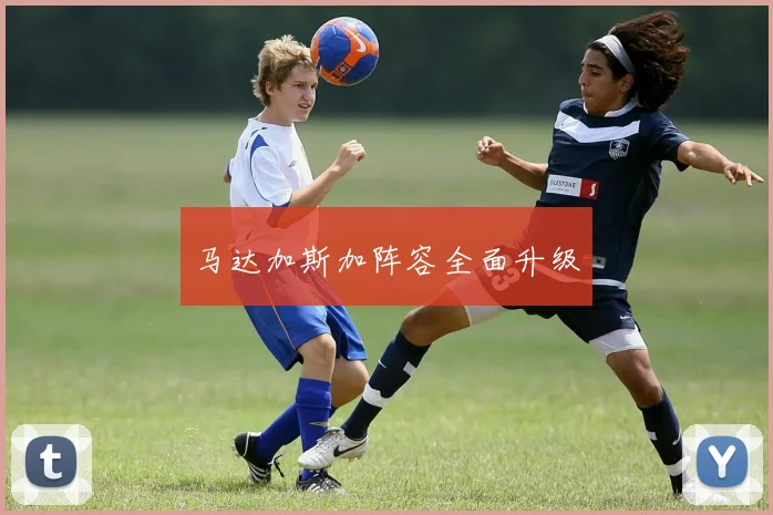 马达加斯加阵容全面升级