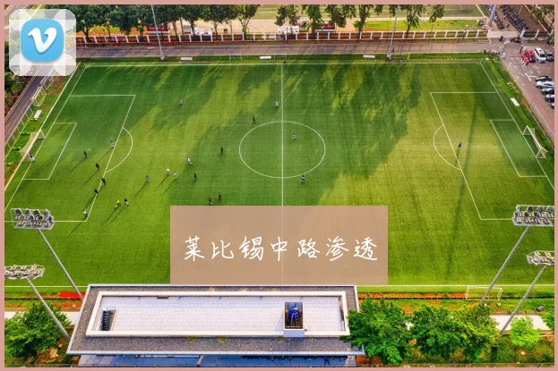 莱比锡中路渗透