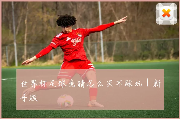 世界杯足球竞猜怎么买不踩坑｜新手版