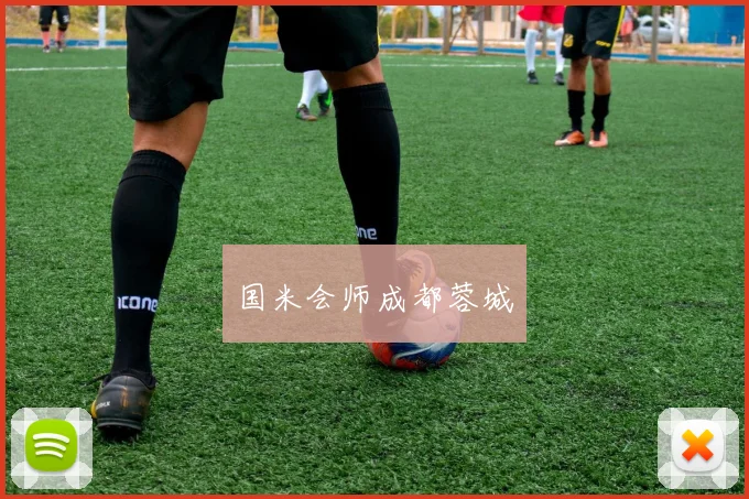国米会师成都蓉城