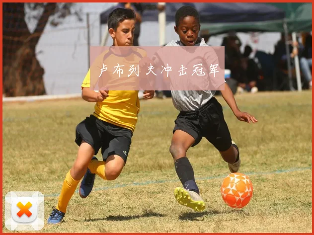 卢布列夫冲击冠军