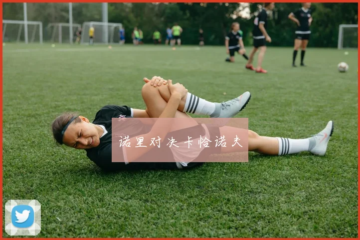诺里对决卡恰诺夫