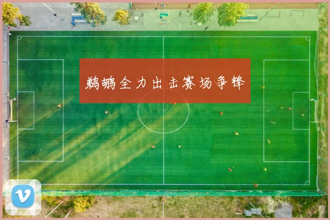 鹈鹕全力出击赛场争锋