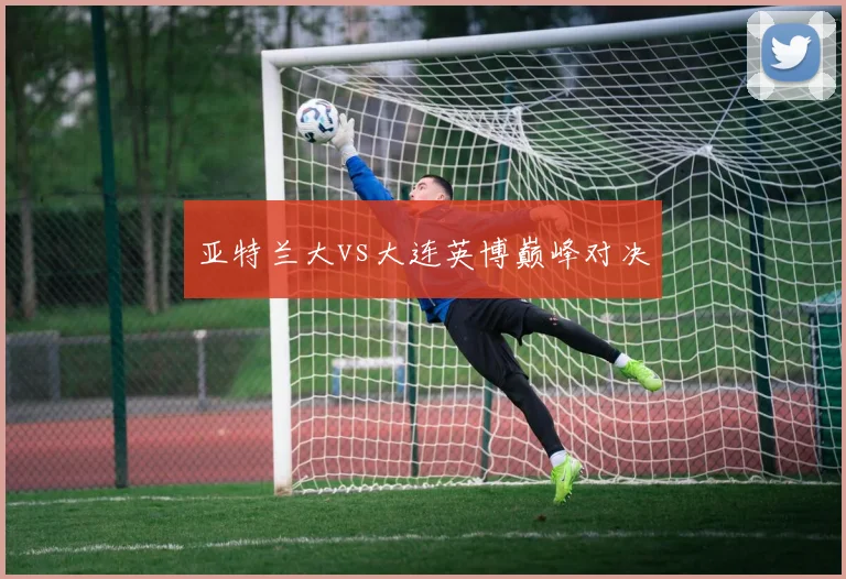 亚特兰大vs大连英博巅峰对决