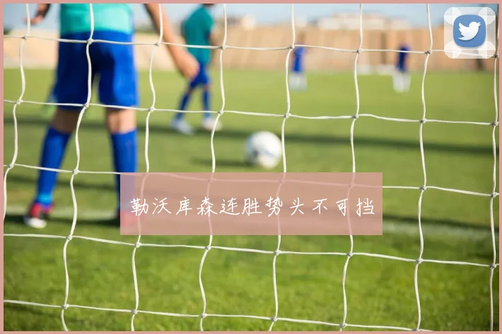 勒沃库森连胜势头不可挡