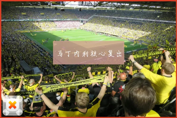 马丁内利核心复出