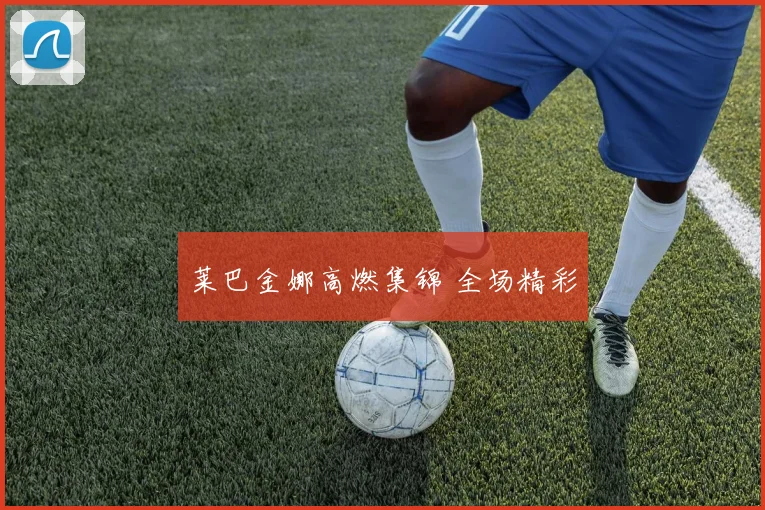 莱巴金娜高燃集锦 全场精彩