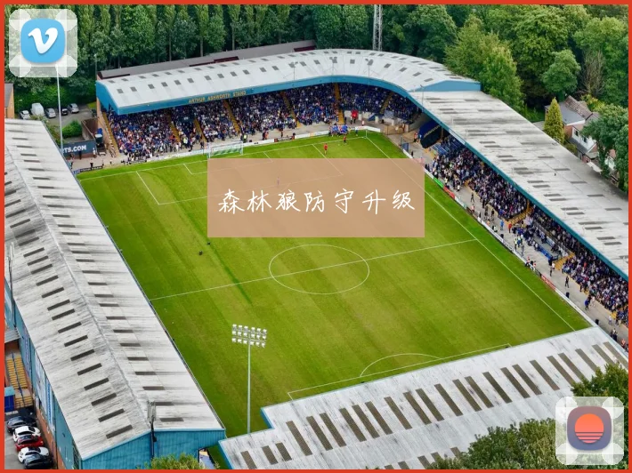 森林狼防守升级