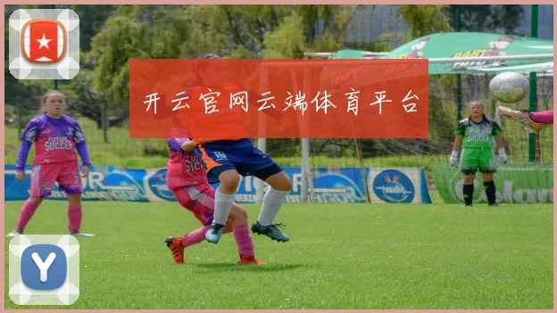 开云官网云端体育平台