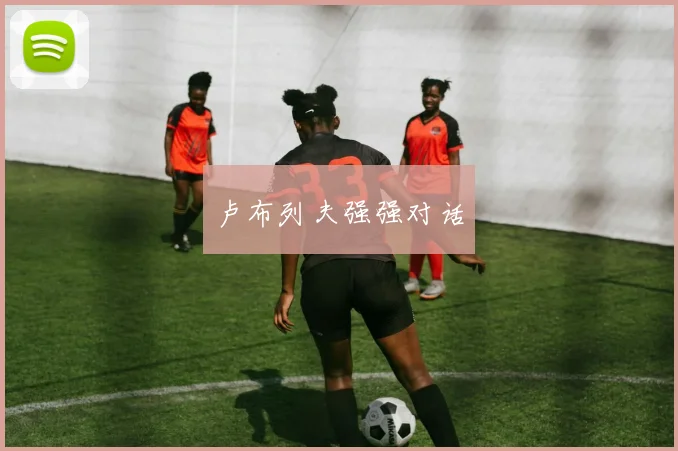 卢布列夫强强对话