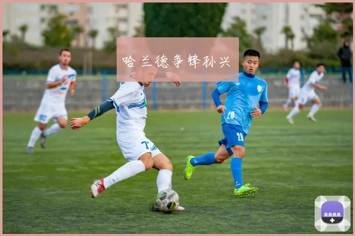 哈兰德争锋孙兴慜