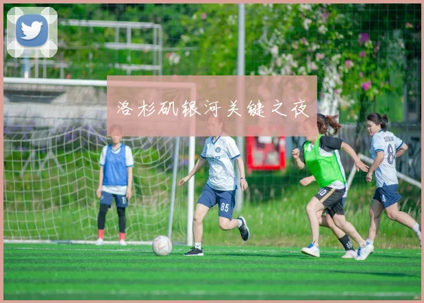 洛杉矶银河关键之夜