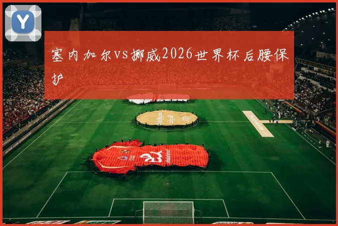 塞内加尔vs挪威2026世界杯后腰保护