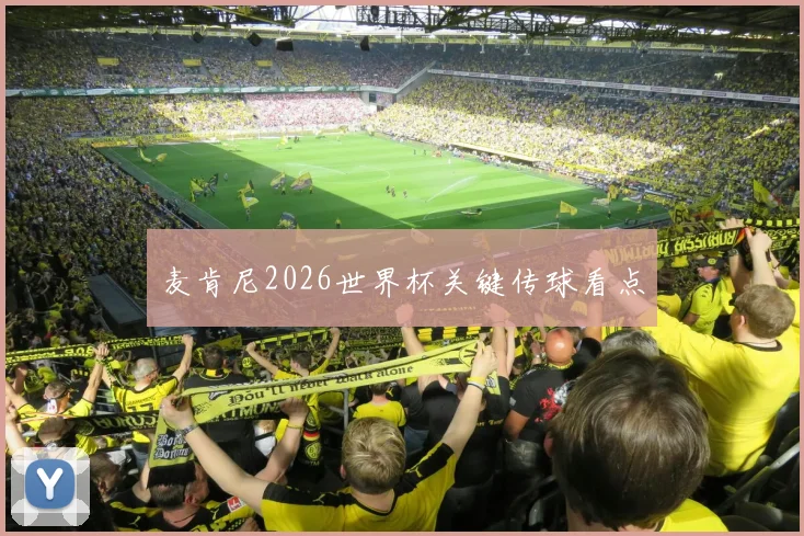 麦肯尼2026世界杯关键传球看点