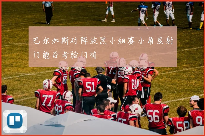 巴尔加斯对阵波黑小组赛小角度射门能否考验门将