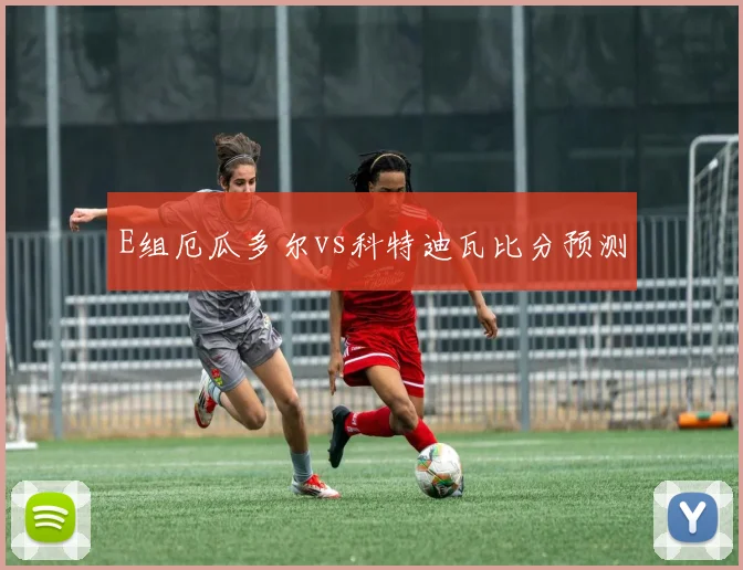 E组厄瓜多尔vs科特迪瓦比分预测