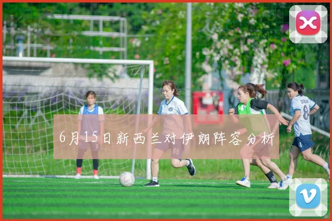 6月15日新西兰对伊朗阵容分析