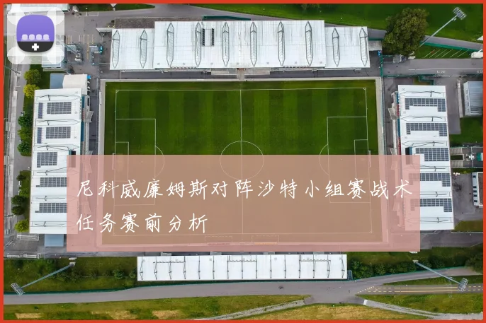 尼科威廉姆斯对阵沙特小组赛战术任务赛前分析